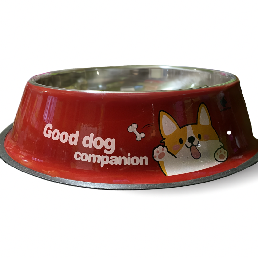 Tazón grande para perro