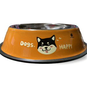 Tazón para perro mediano